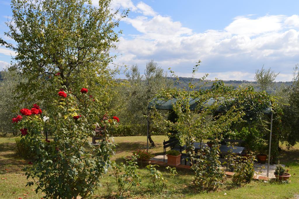 Oliveta Tavarnelle Val di Pesa Quarto foto