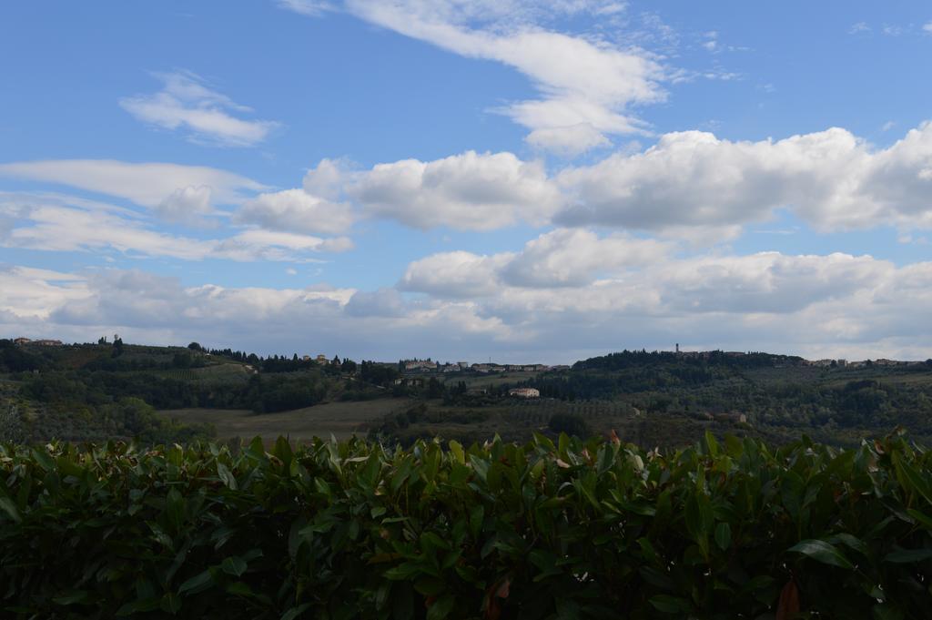 Oliveta Tavarnelle Val di Pesa Quarto foto